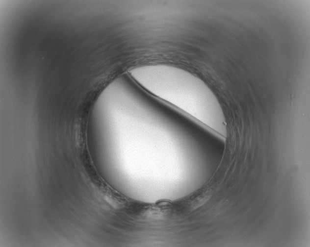 X0000076230416200609280952