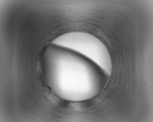 X0000076230417200609280952