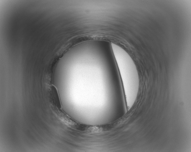 X0000076230421200609280952