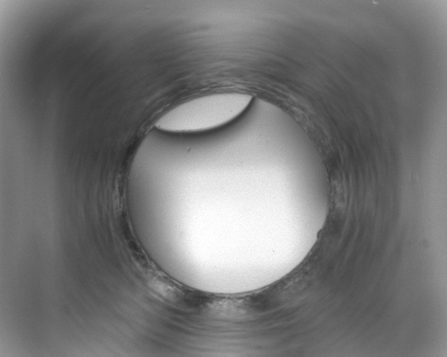 X0000076230422200609280952