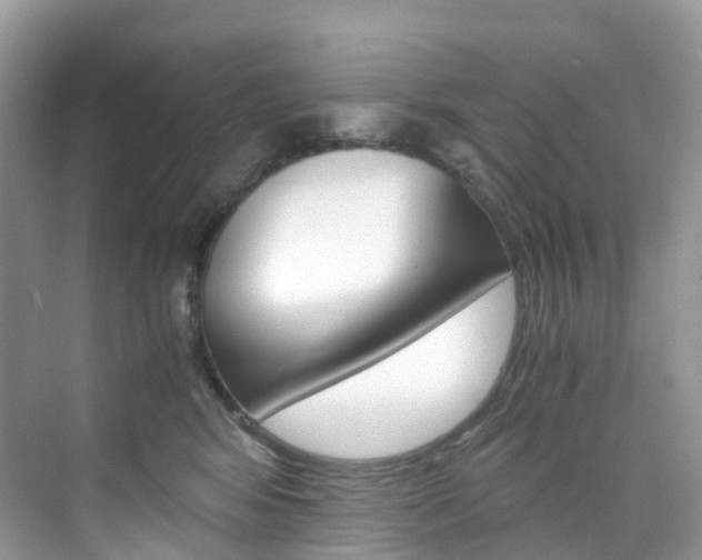 X0000076230424200609280952
