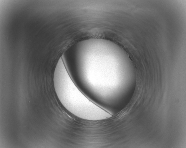 X0000076230432200609280952