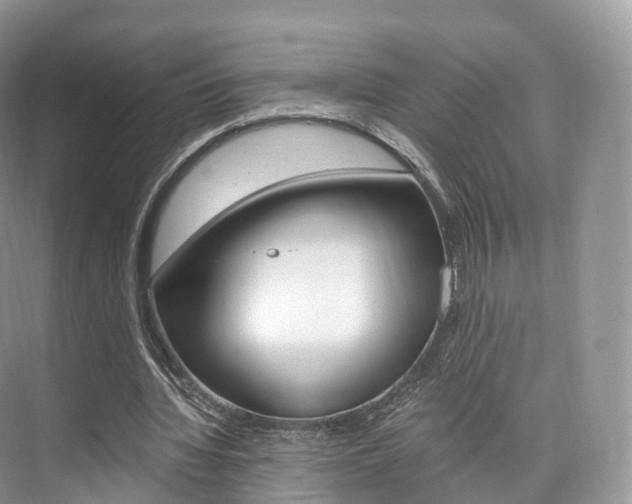 X0000076230436200609280951