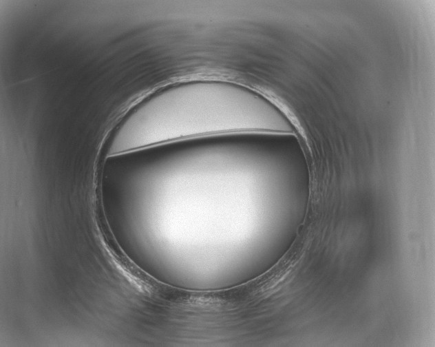X0000076230437200609280951