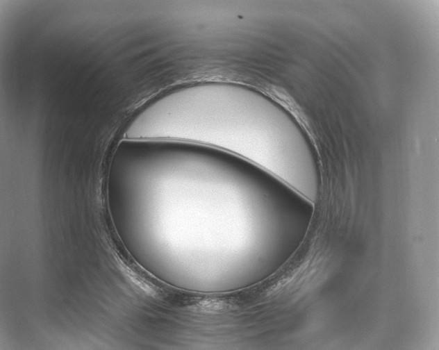 X0000076230441200609280951