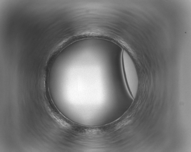 X0000076230446200609280951