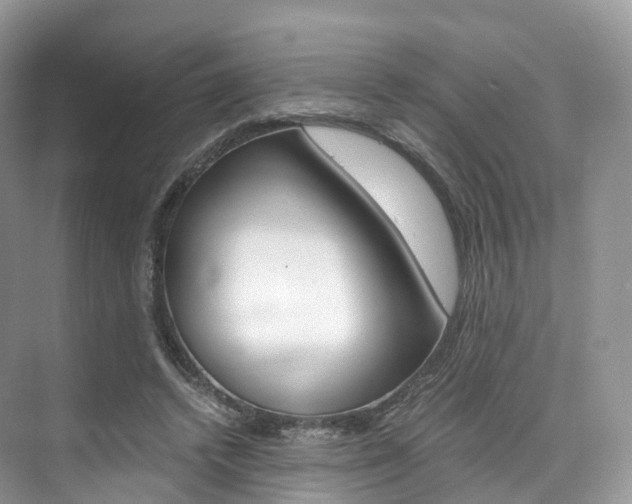 X0000076230448200609280951