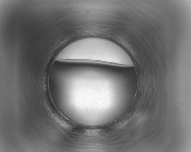 X0000076230450200609280951