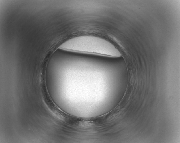 X0000076230451200609280951