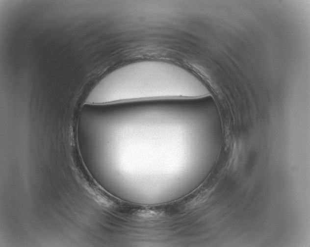 X0000076230453200609280951