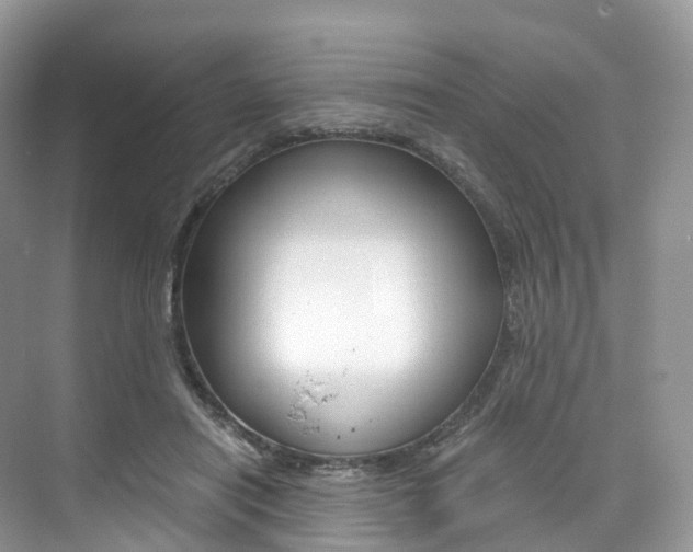 X0000076230454200609280951