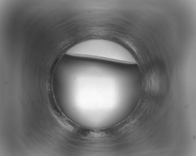 X0000076230455200609280951