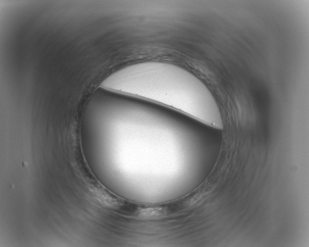 X0000076230461200609280952