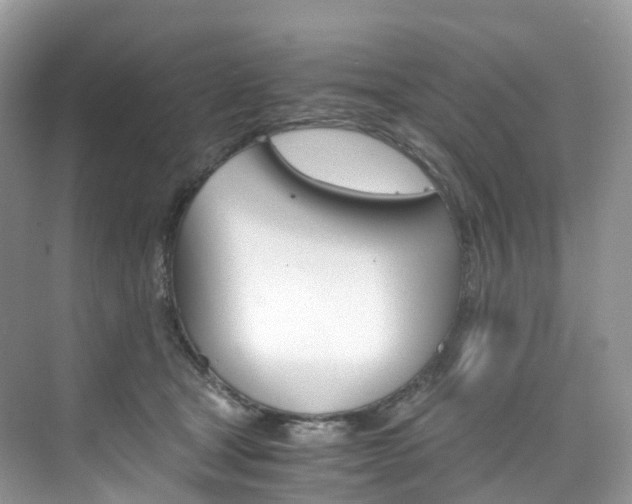 X0000076230465200609280952