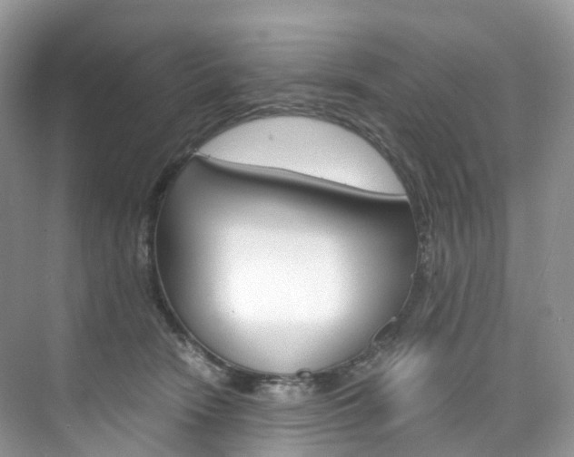 X0000076230466200609280952
