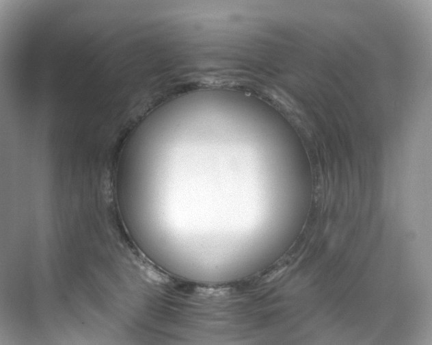 X0000076230469200609280952