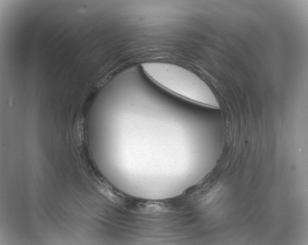 X0000076230475200609280952