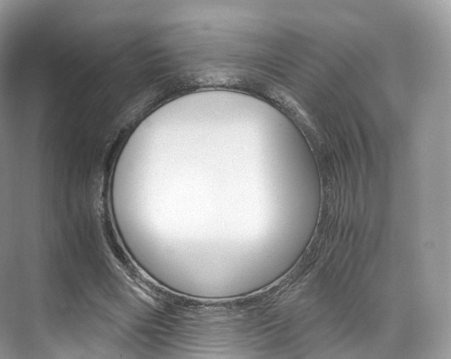 X0000076230490200609280951