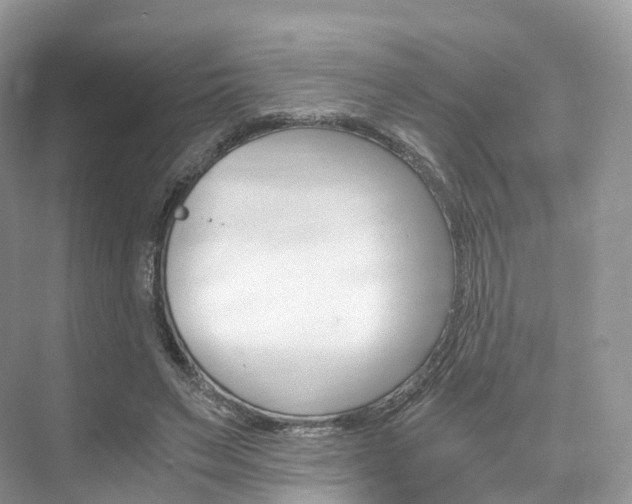 X0000076230495200609280951