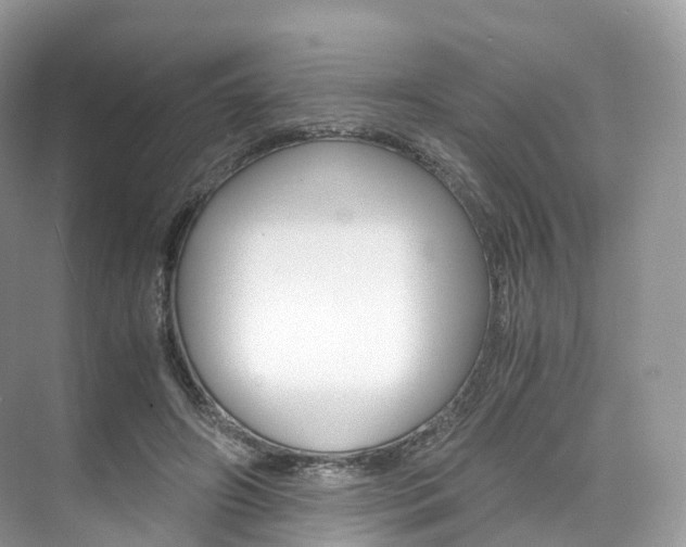 X0000076230498200609280951
