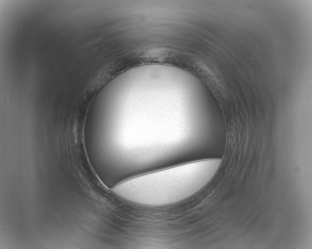 X0000076230504200609280951