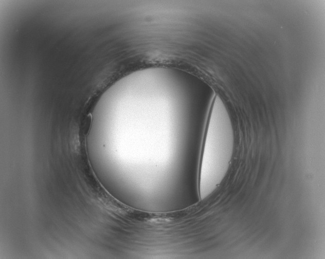 X0000076230508200609280951