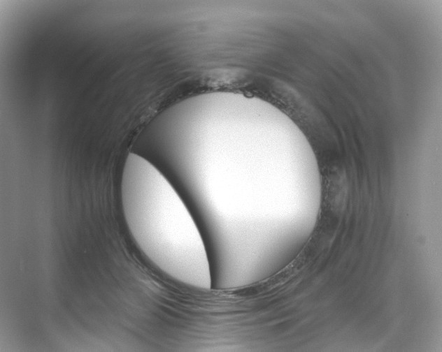 X0000076230510200609280951