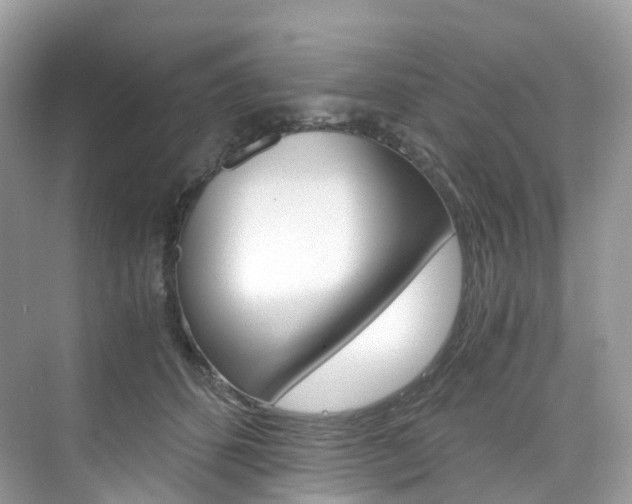 X0000076230512200609280951