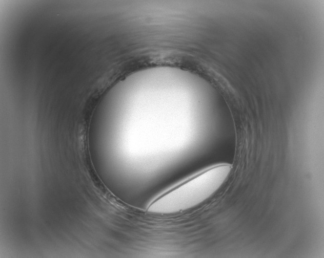 X0000076230513200609280951