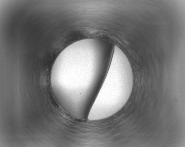 X0000076230515200609280951