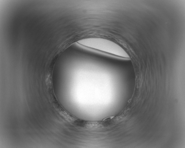 X0000076230521200609280950
