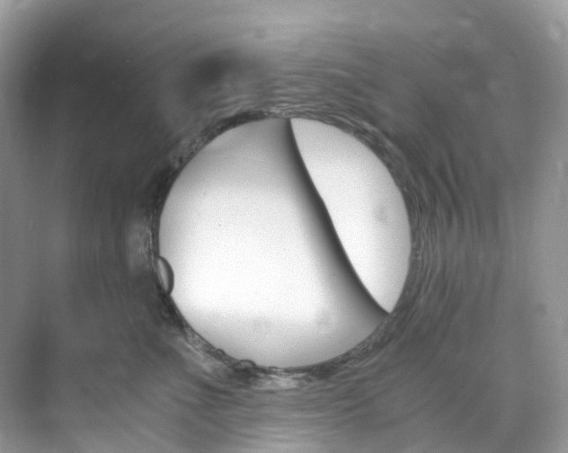 X0000076230523200609280950