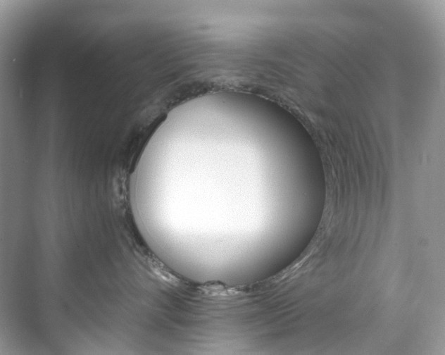 X0000076230528200609280950