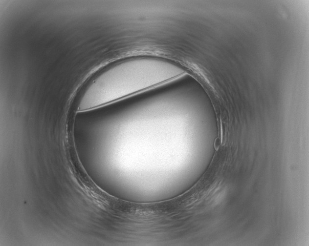 X0000076230531200609280950