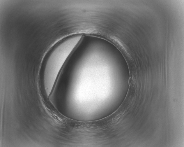 X0000076230532200609280950