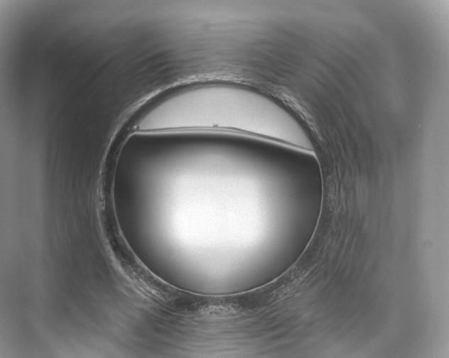 X0000076230536200609280950