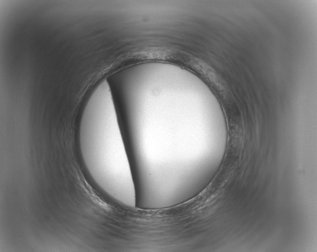 X0000076230537200609280950