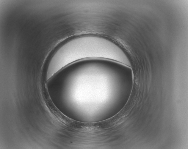 X0000076230540200609280950