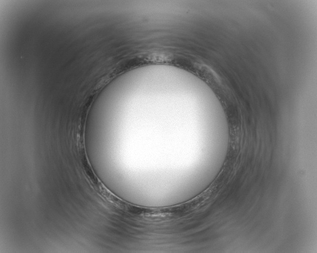 X0000076230553200609280950