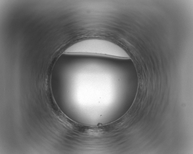 X0000076230556200609280950