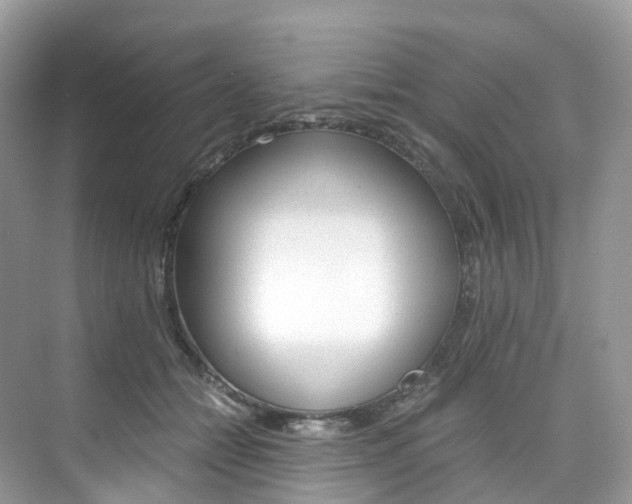 X0000076230558200609280950