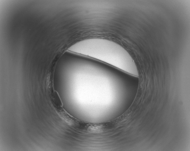 X0000076230560200609280950