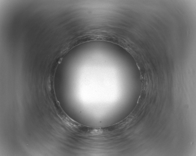 X0000076230562200609280950