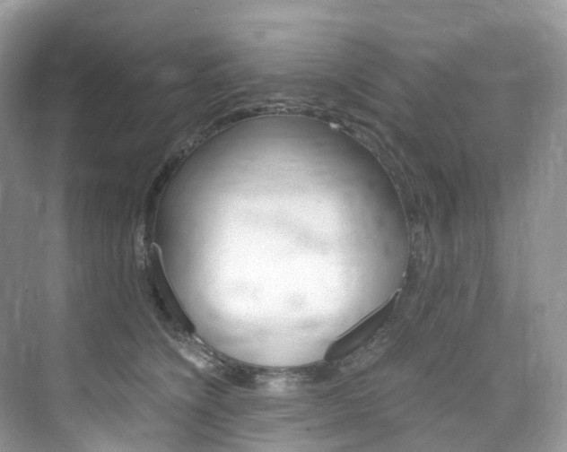 X0000076230564200609280950