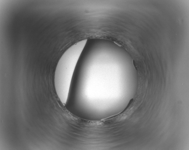 X0000076230576200609280950