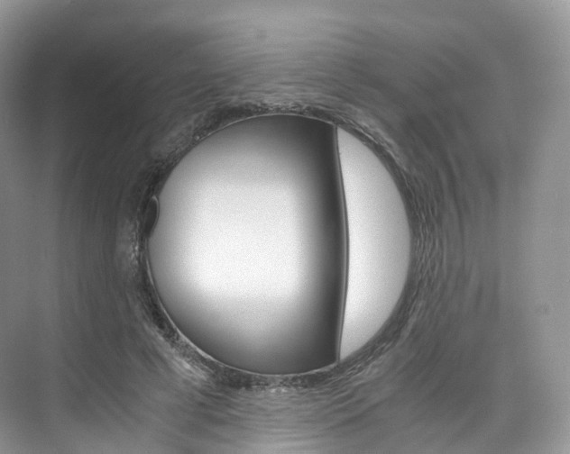 X0000076230593200609280949