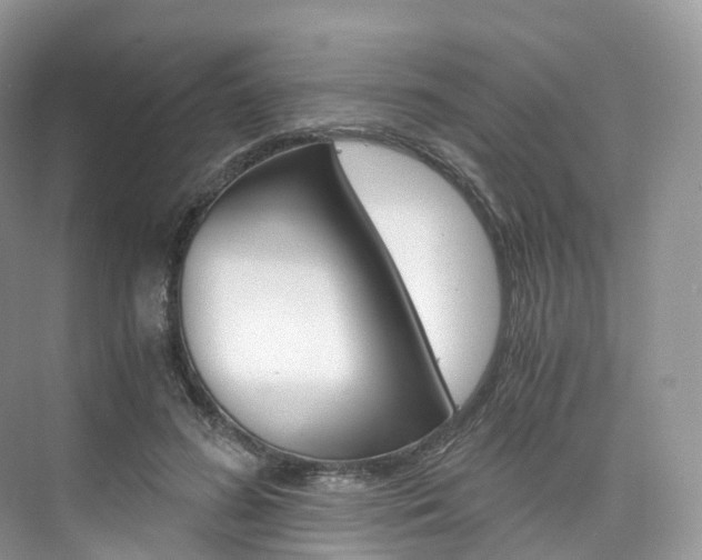 X0000076230596200609280949