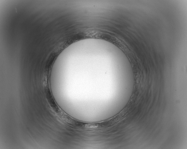 X0000076230602200609280949