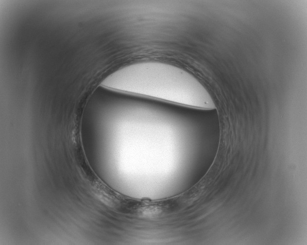 X0000076230604200609280949