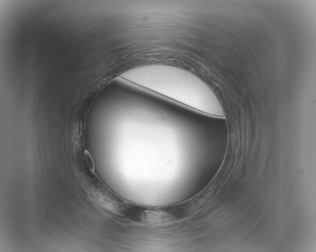X0000076230605200609280949